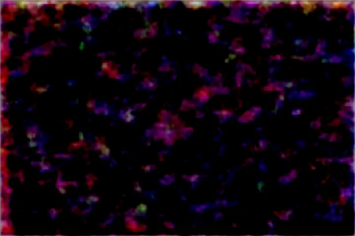 素材画像