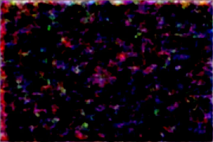 素材画像
