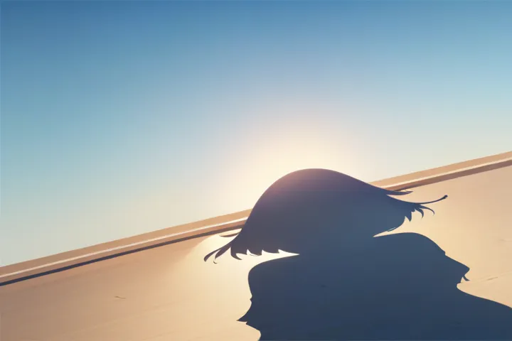 素材画像