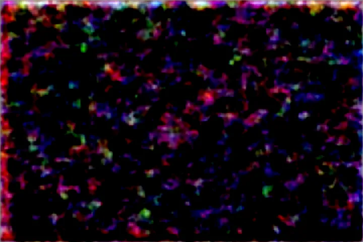 素材画像